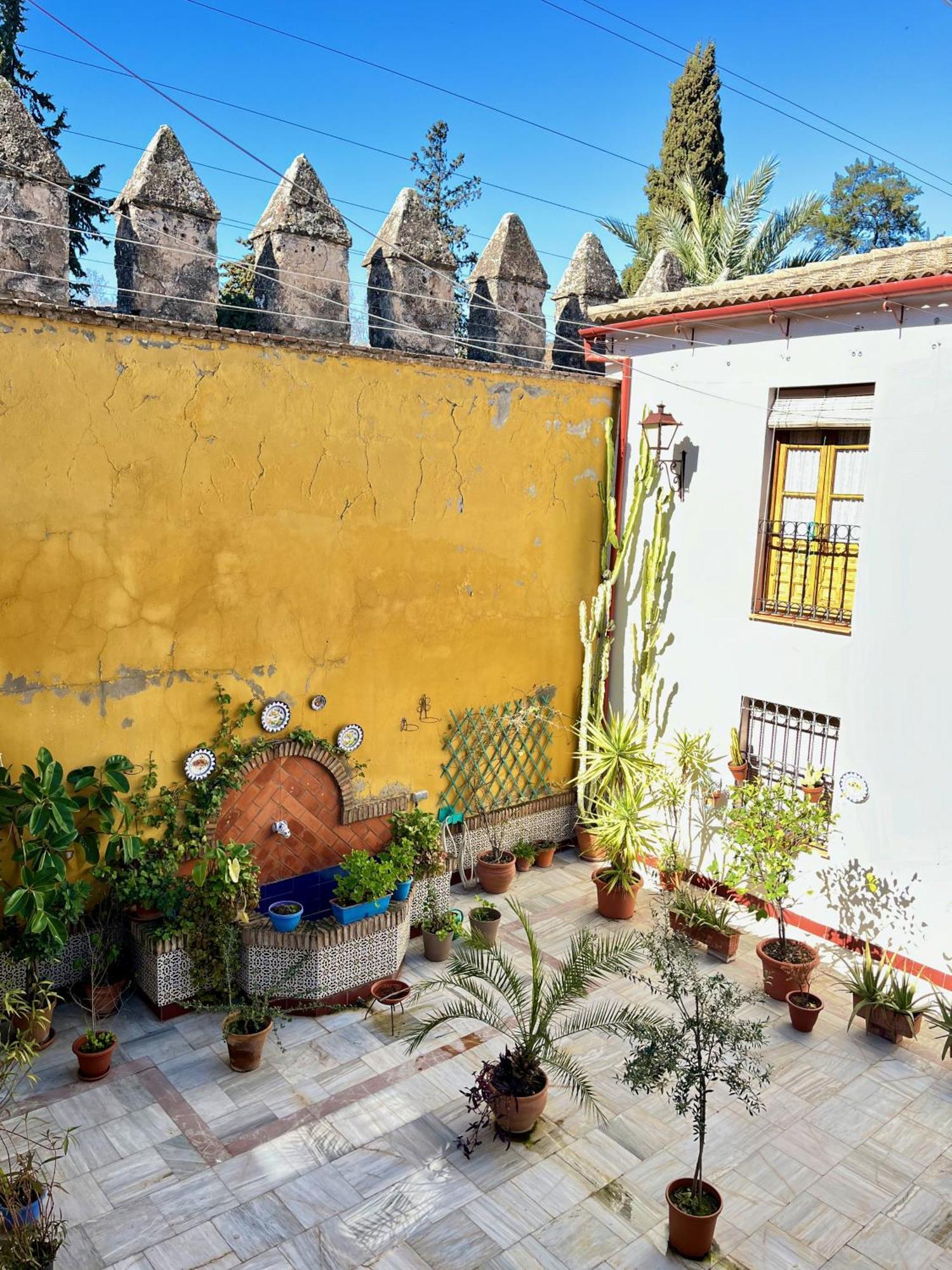 El Patio De Wallada Cordova Esterno foto