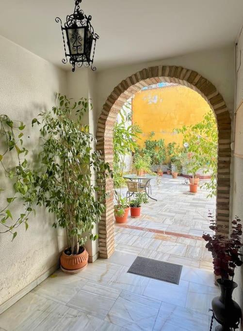 El Patio De Wallada Cordova Esterno foto