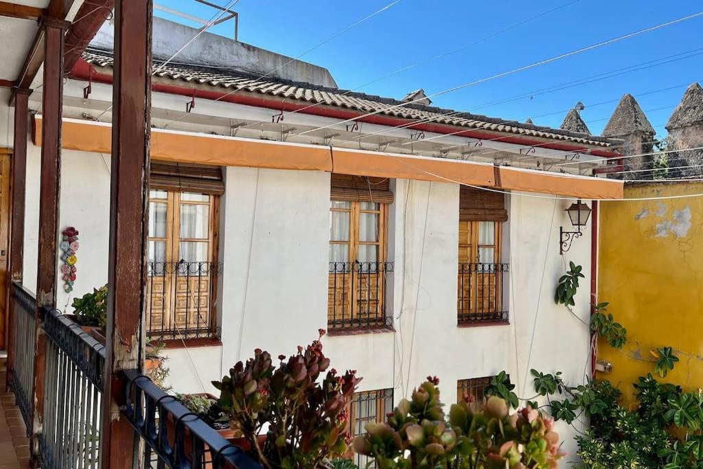 El Patio De Wallada Cordova Esterno foto